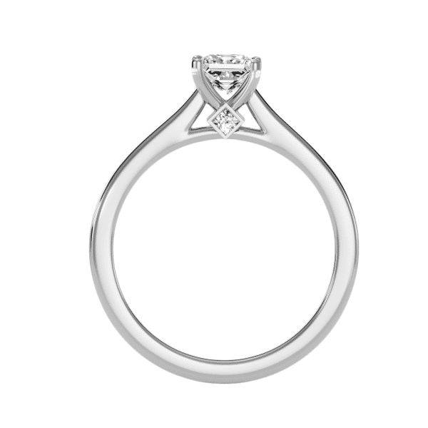 Princess Cut Cathedral Hidden Solitaire Engagement Ring