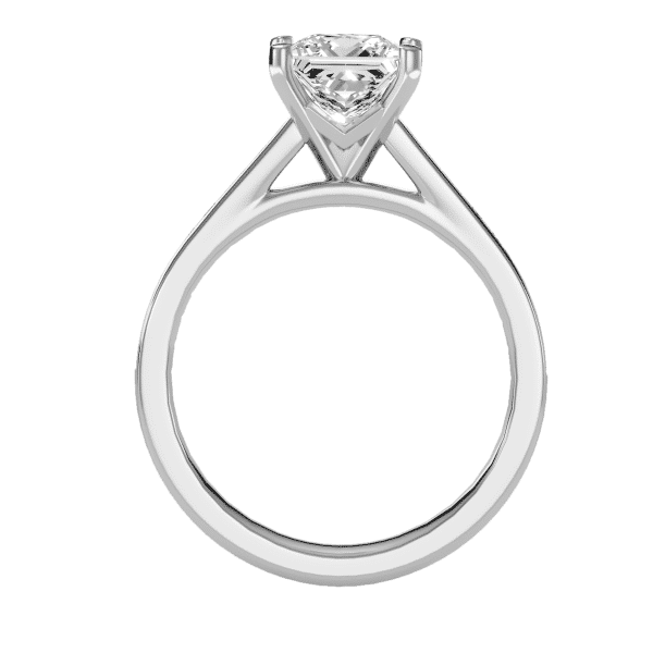 Princess Cut 4 Claws Cathedral Channel-Set Diamond Solitaire Engagement Ring