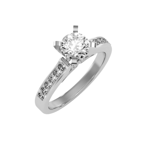 Round Cut Hidden Cathedral Princess Channel-Set Diamond Solitaire Engagement Ring